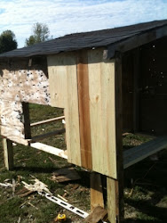 coop chicken floor opening husband pop door