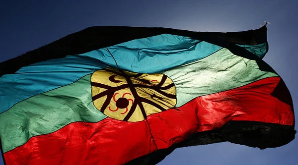 Bandera Mapuche