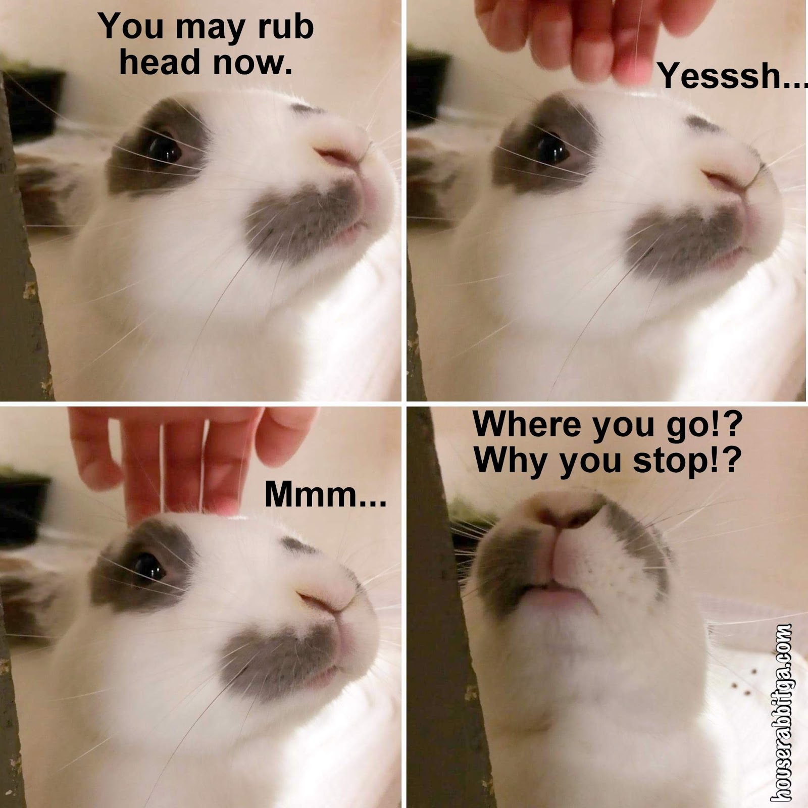 Cute Funny Memes For Him - 1m32u7m