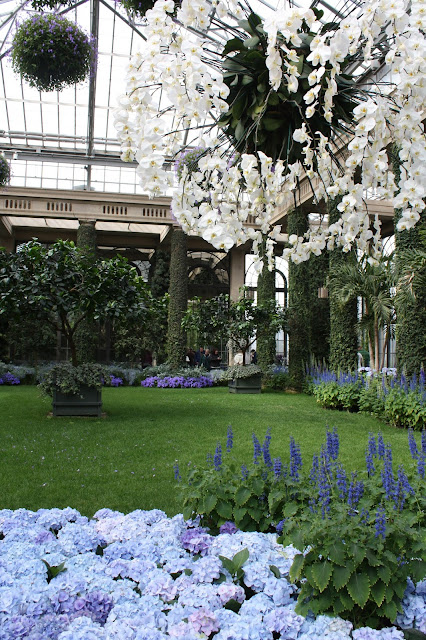 Stunning blue display in the conservatory at Longwood Gardens in Pennsylvania