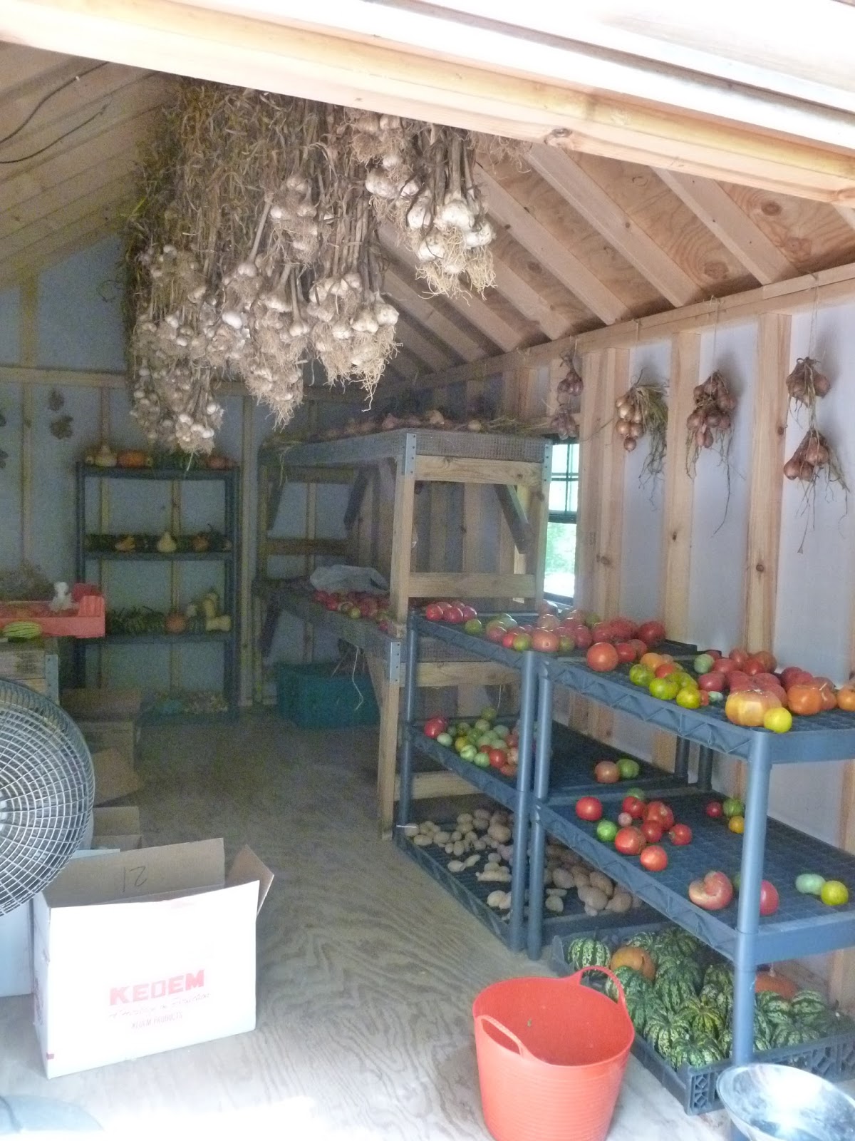 Garden Shed Horizontal Storage Shed Plans 8x10x12x14x16x18x20x22x24