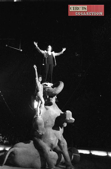 Germaine et Louis Knie senior debout sur les éléphant du cirque 