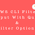 AWS CLI Filter Output With Query & Filter Options