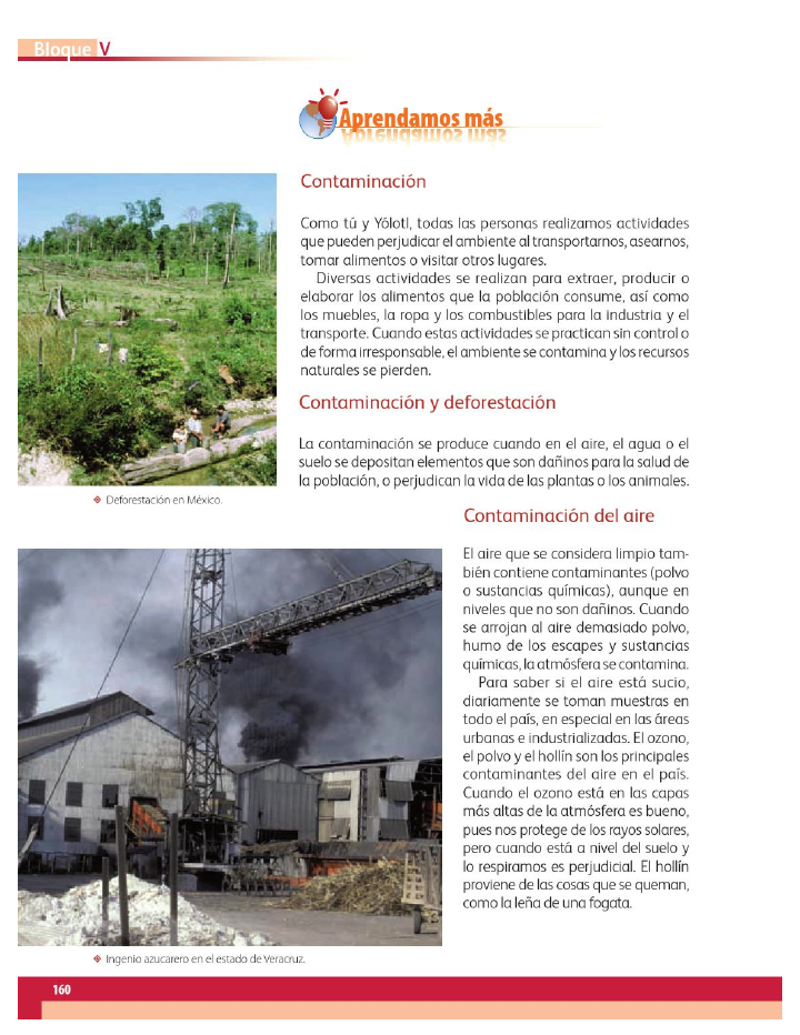 Los problemas ambientales de México - Geografía 4to Bloque 5 2014-2015 