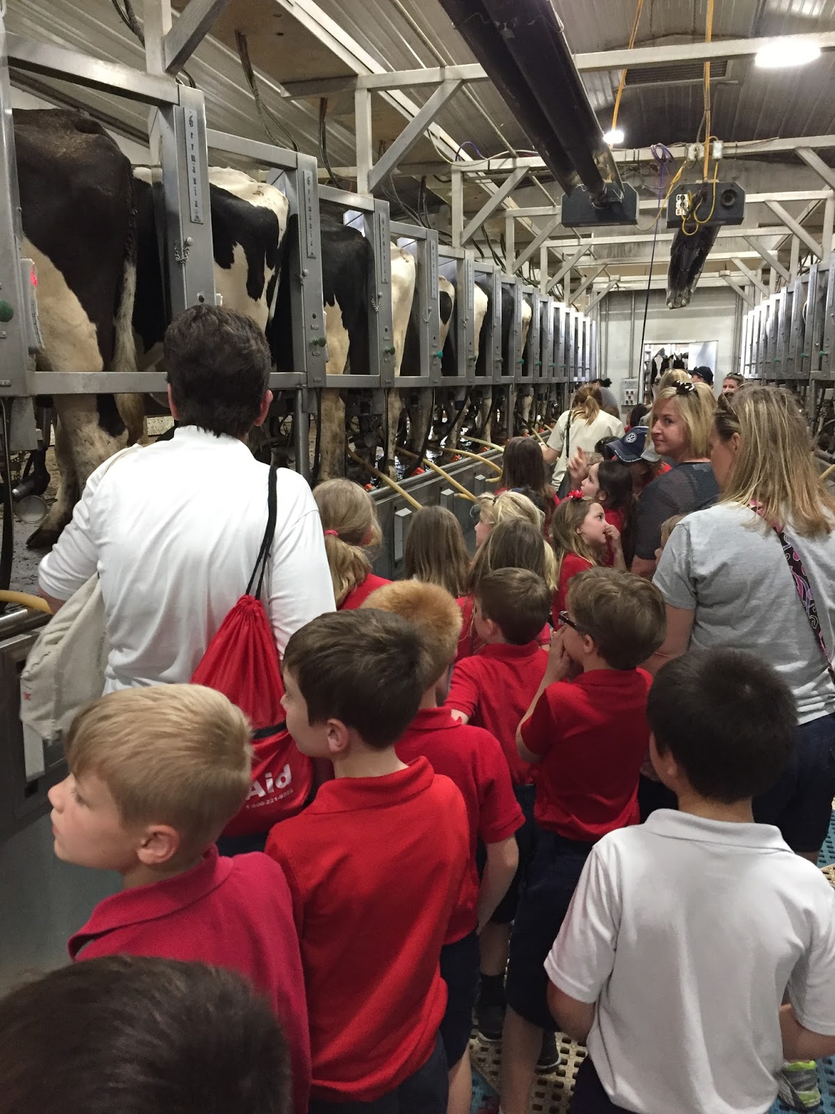 Mrs. Kappel Dairy Farm Field Trip