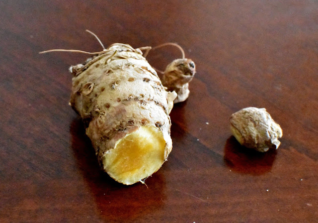 Turmeric Root