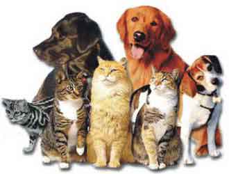 Εγκρίθηκε από το Υπουργικό Συμβούλιο το σχέδιο νόμου για τα δεσποζόμενα