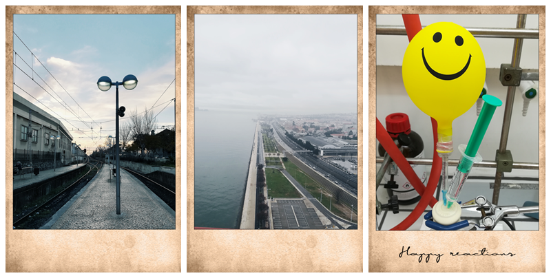 February 2018 photography o blog da mo February 2018 photography o blog da mo