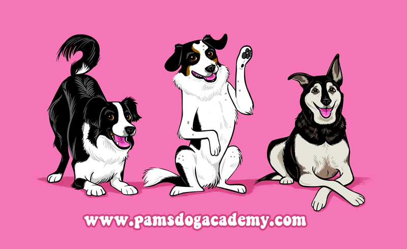 Pam's Dog Academy