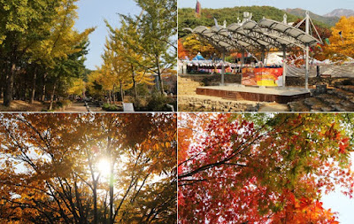 Daegu di Musim Luruh (Daegu Autumn)