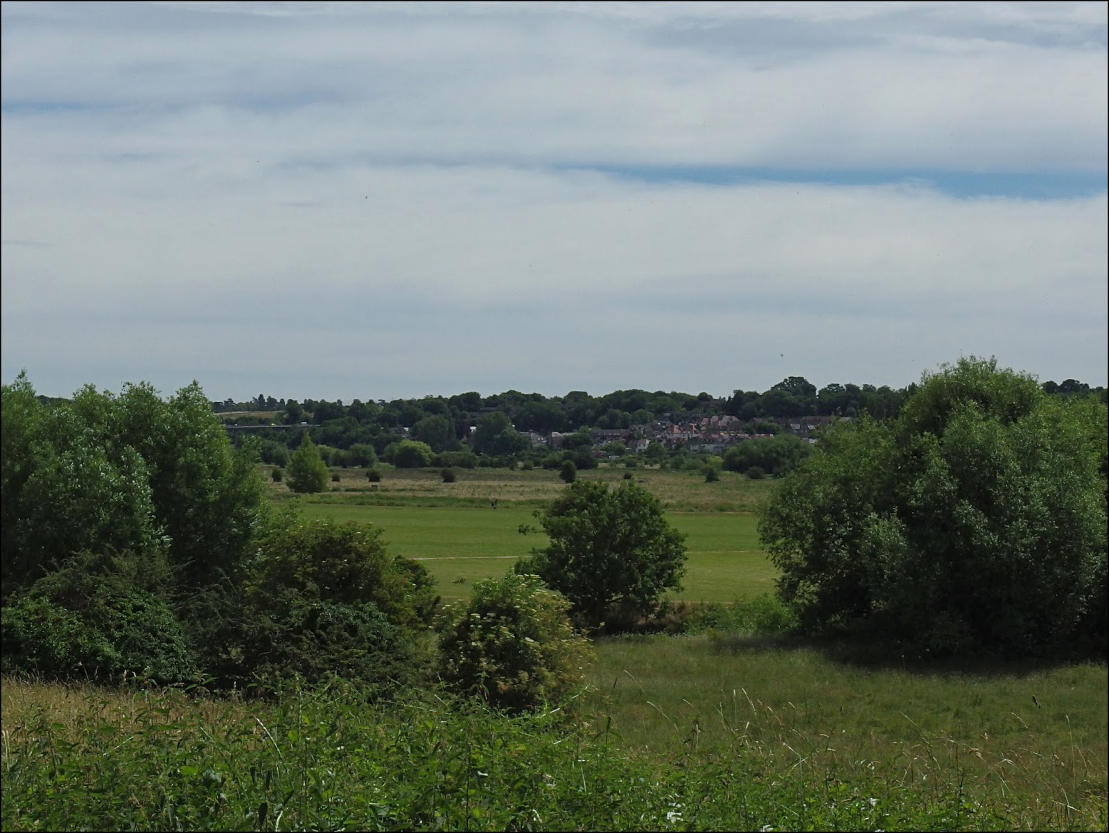 "By Stargoose And Hanglands" The King's Mead