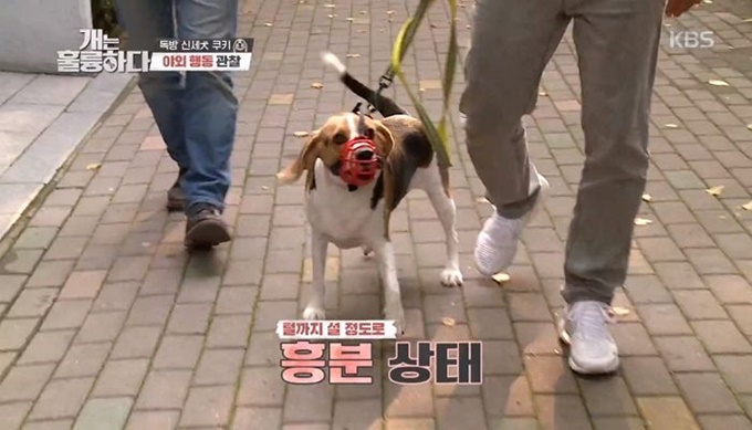 이미지에 대체텍스트 속성이 없습니다; 파일명은 89ws6cu48l6w3qvref4m.jpg 입니다.