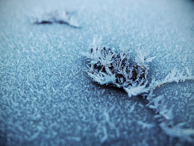 Macro photo of ice crystals on a hawthorn leaf.