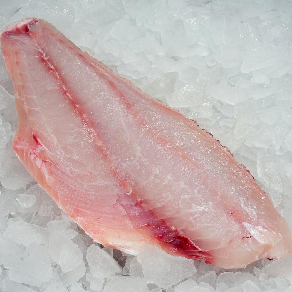 How Old Are Red Snapper Max Age Red Snapper Fish, Red Snapper Fish