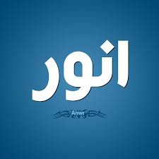 معنى أسم أنور وشخصيته معنى أسم أنور وشخصيته