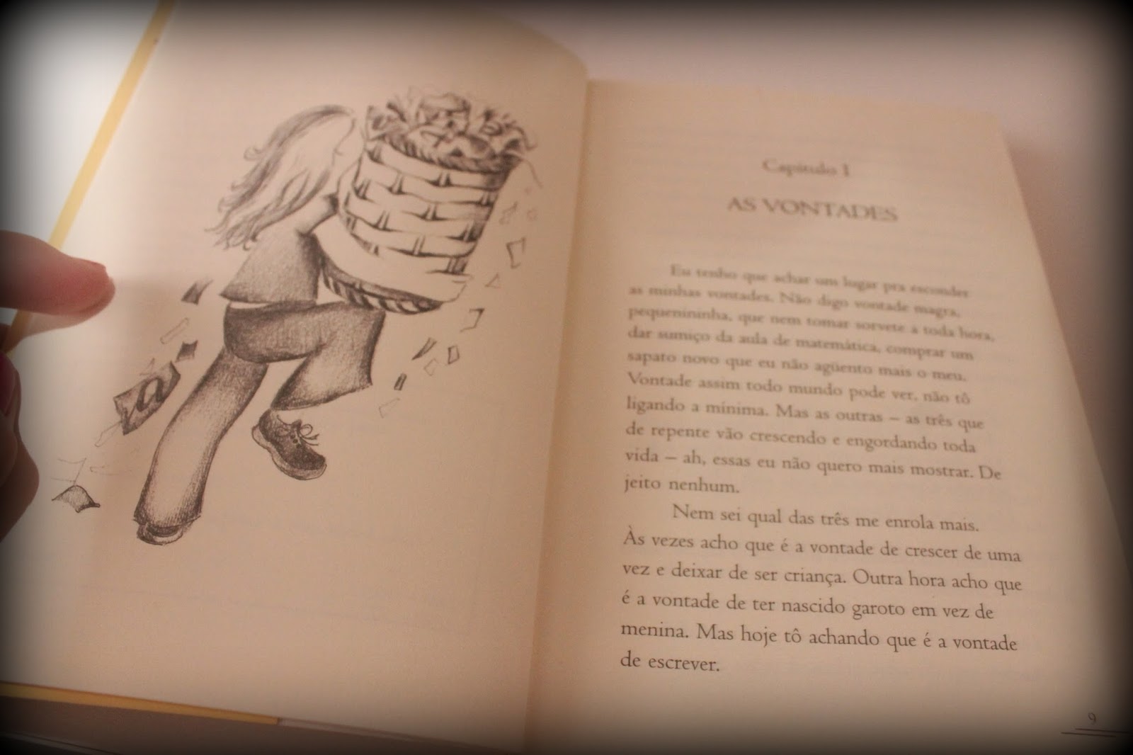 Resumo Do Livro A Bolsa Amarela - RETOEDU