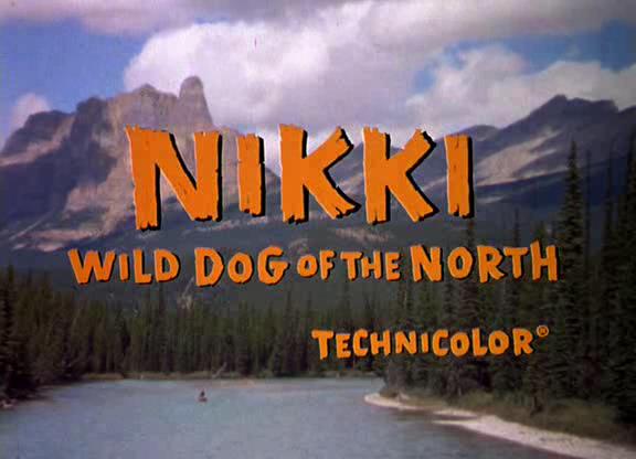 Nikki north. Nikki, Wild Dog of the North. Nikki: Wild Dog of the North (1961). Nikki Wild.