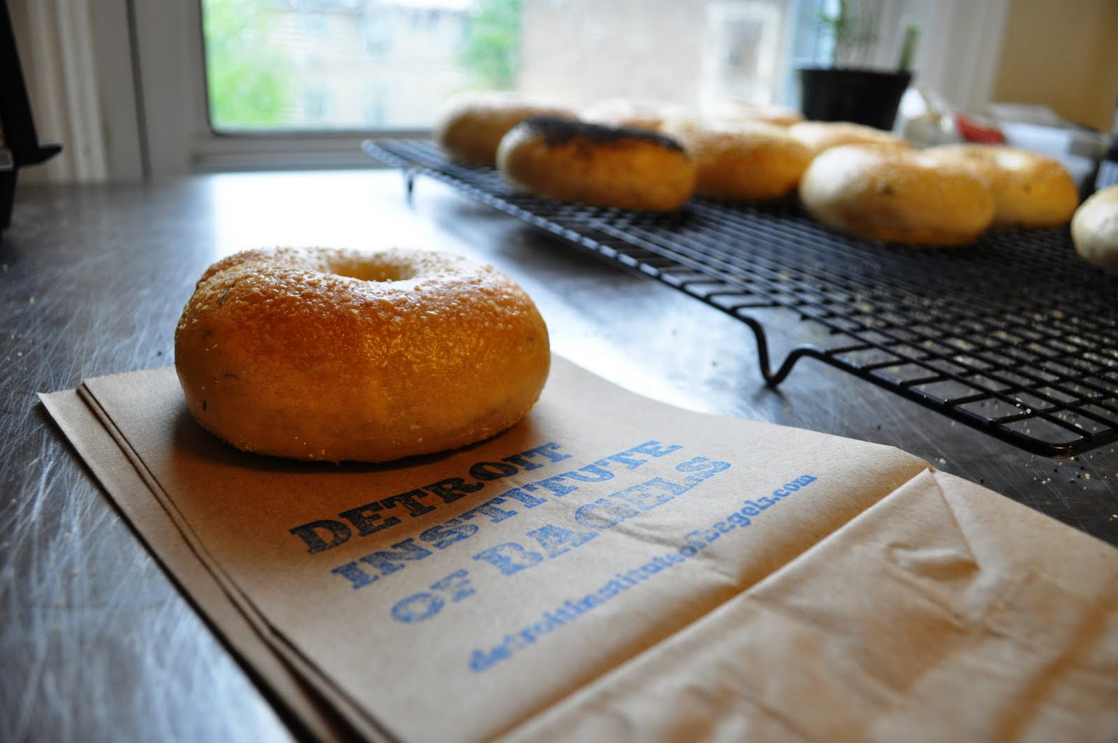 Eat It Detroit Detroit Institute of Bagels Filling the Void of Detroit's Bagel Desert