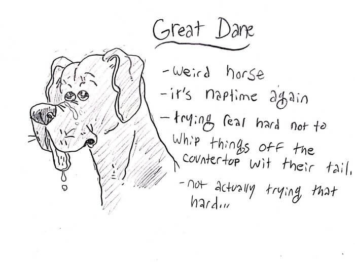 Funny Comic Series That Will Help You Identify Most Dog Breeds