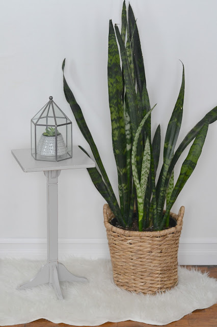 Plant Stand Makeover