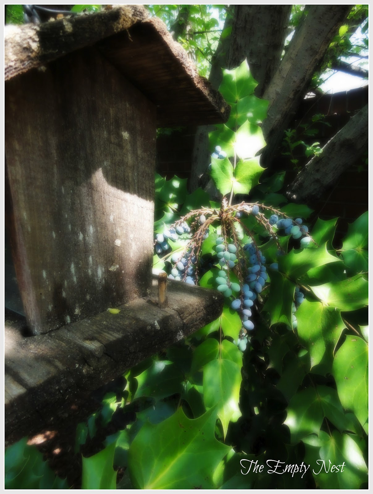 The Empty Nest A butter yellow Chalk Paint™ rocker