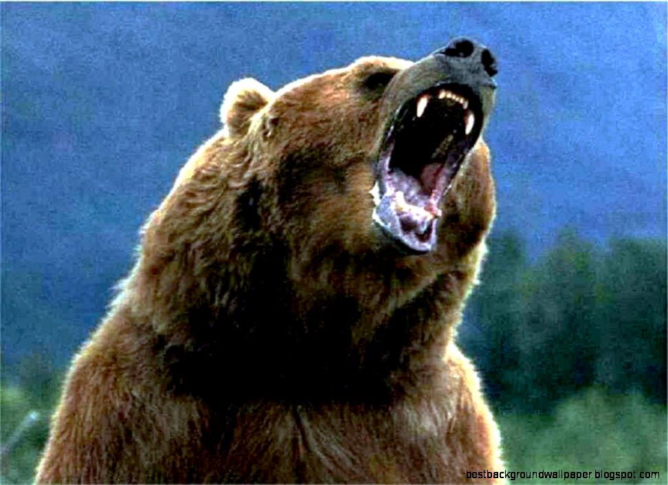 camp  Wilderness Training