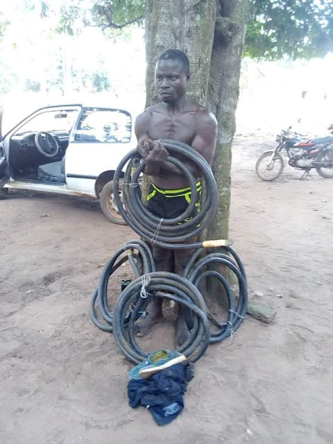 Photos: Notorious transformer cable thief nabbed in Ogun State