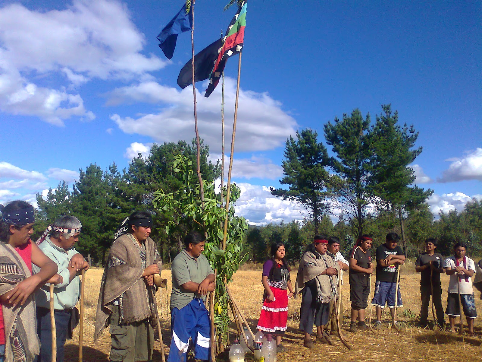 El pueblo Mapuche y la discusión sobre autonomía y  autodeterminación