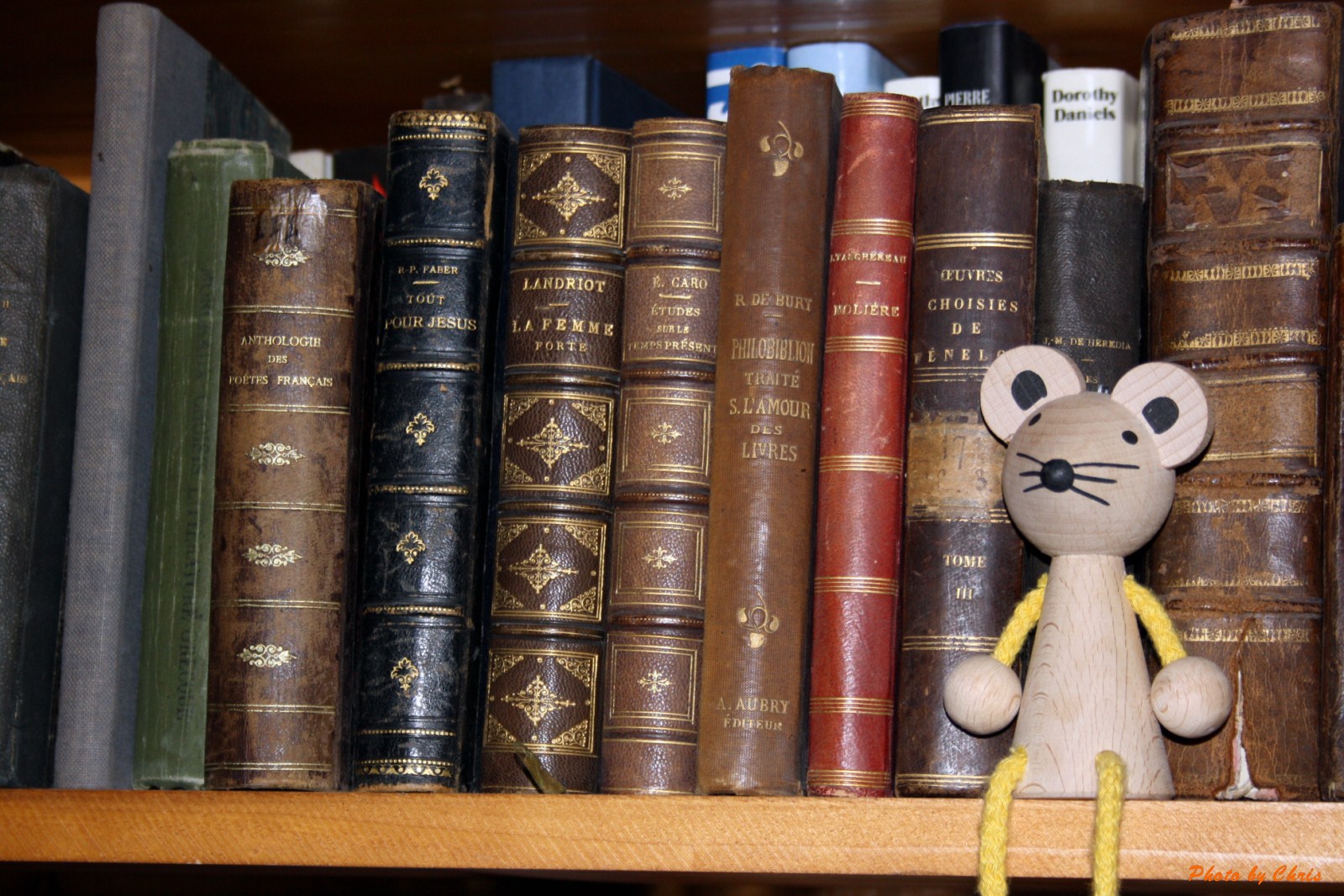 LA GALERIE Rat de bibliothèque