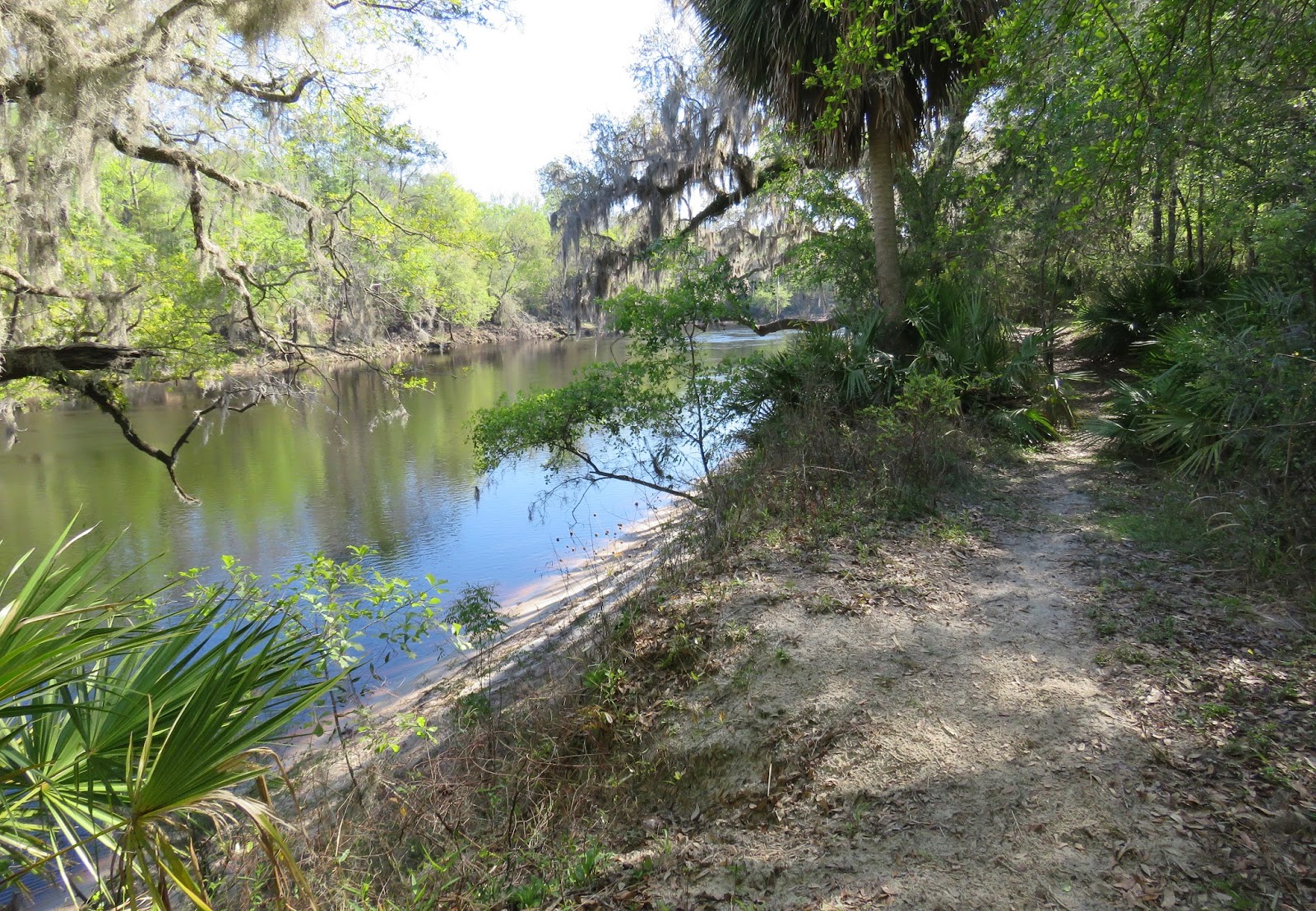 Where's Liz? 2017 Dowling Park, FL...where I'll retire after RVing