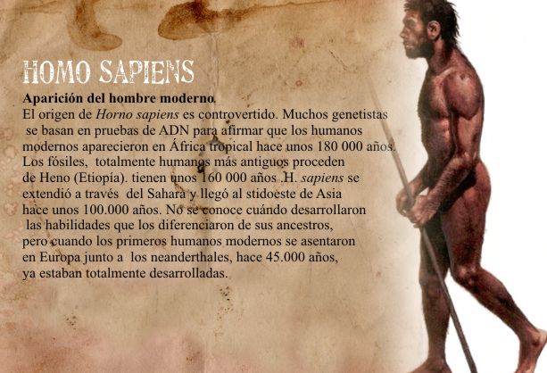1 4 Prehistoria Homo Sapiens Sapiens