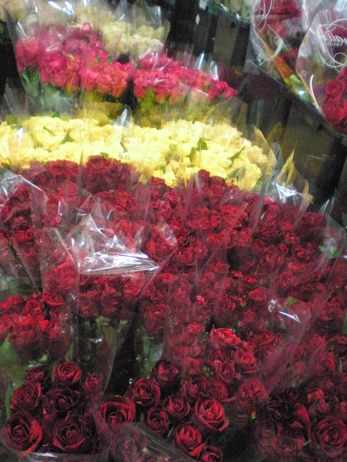 St Anne's Florist and Gift Baskets Perth This Wet Stormy Weather Means