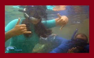 mundo dos esportes concórdia