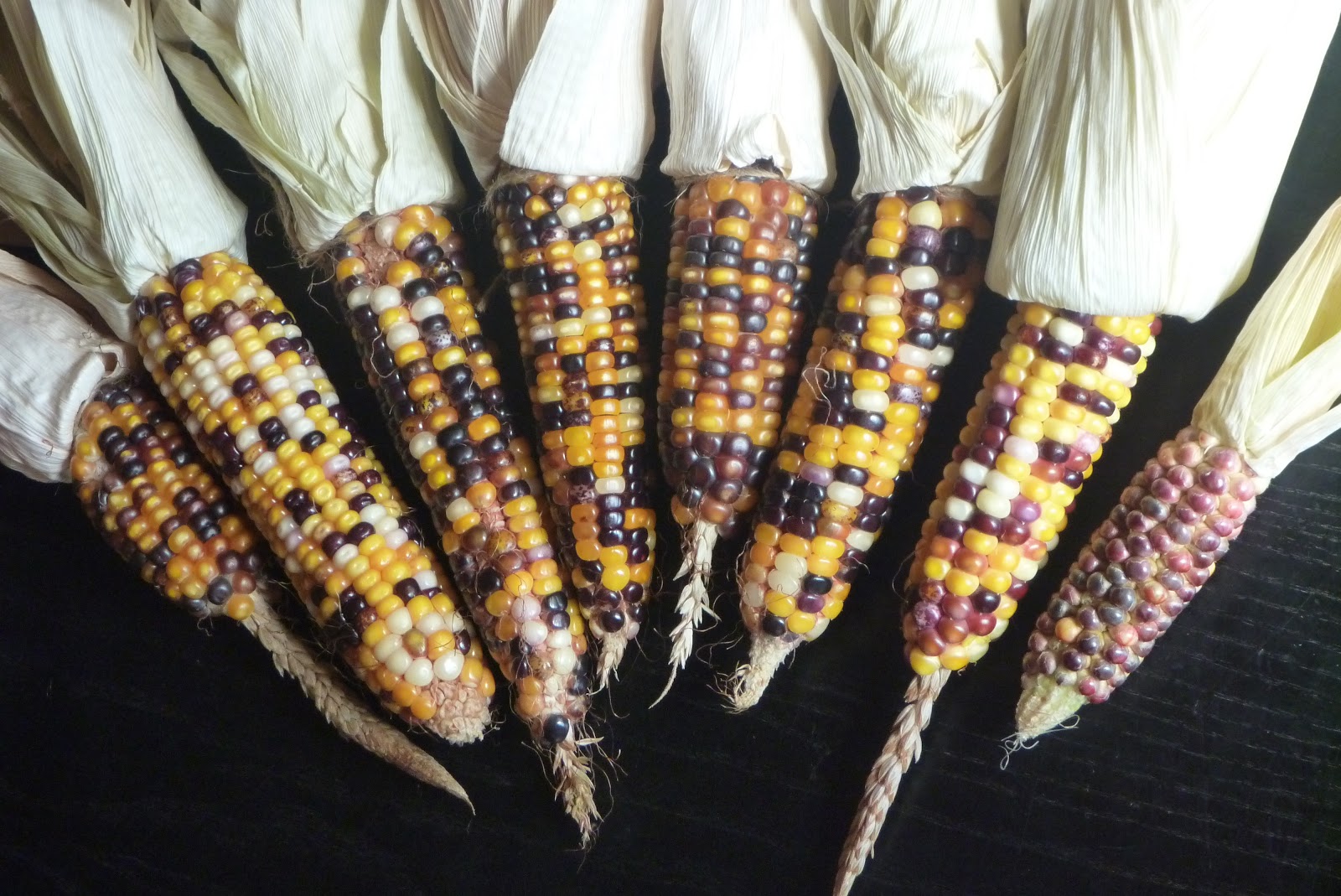 Mudflower Glass Bead Corn