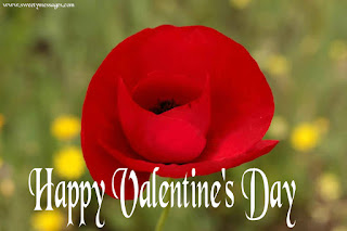 happy valentine day images hd