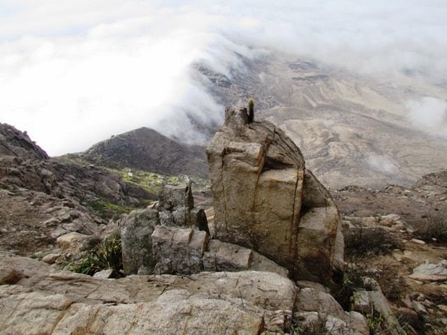 cerro campana leyenda cerro campana leyenda