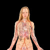 Picture Of Women\'S Internal Organs : Human Organs Drawing | Free download on ClipArtMag : These were originally adapted to fit the male shadow/silhouette.