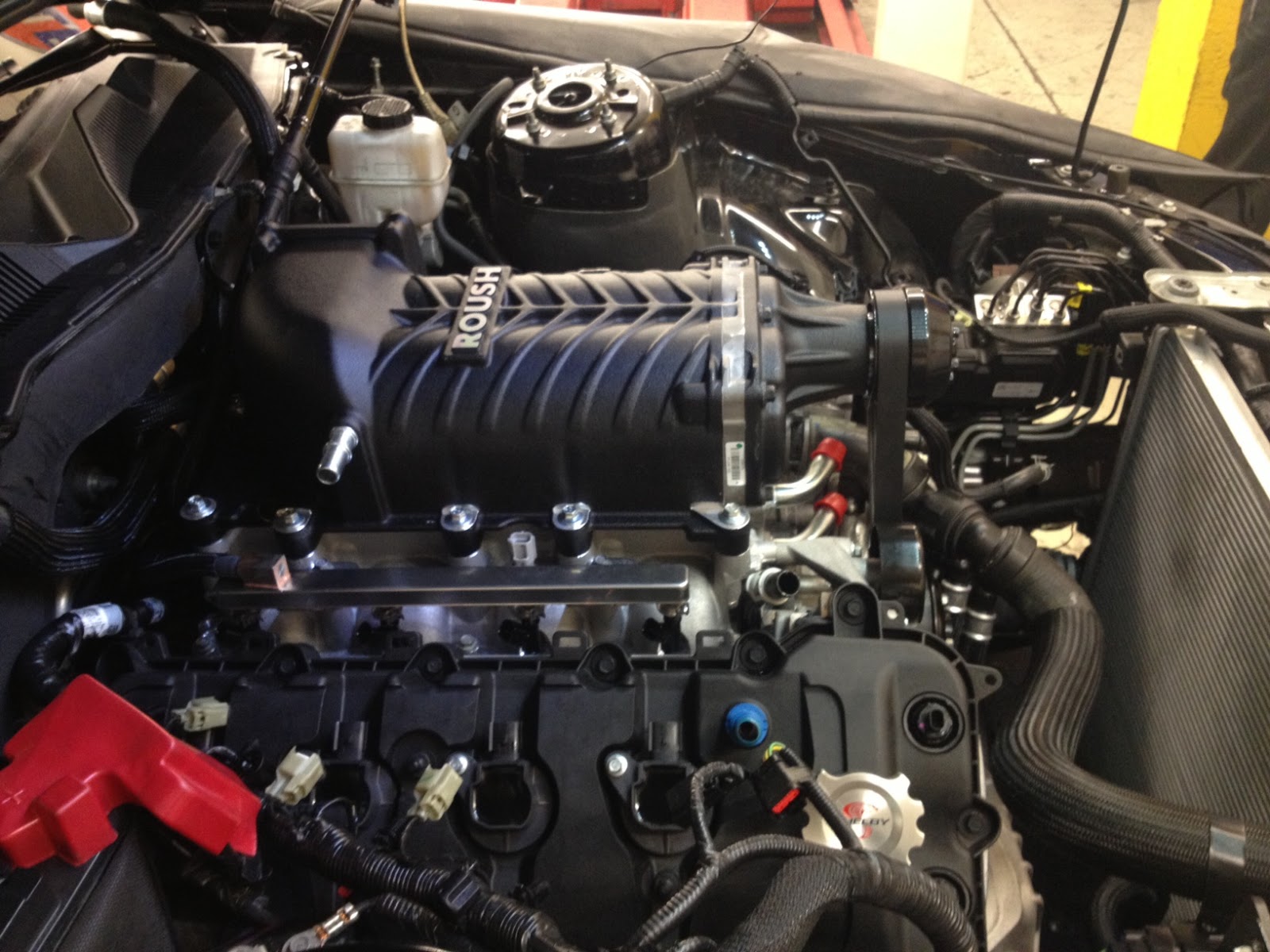 Mustang GT Roush Supercharging Project Switzerland: Roush TVS2300