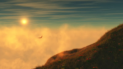 nature-fog-sun-eagle-flying-wallpaper-1920x1080