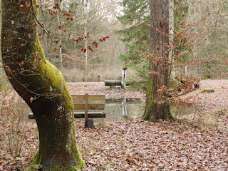 Achterlacke (8er-Lacke) im Forstenrieder Park