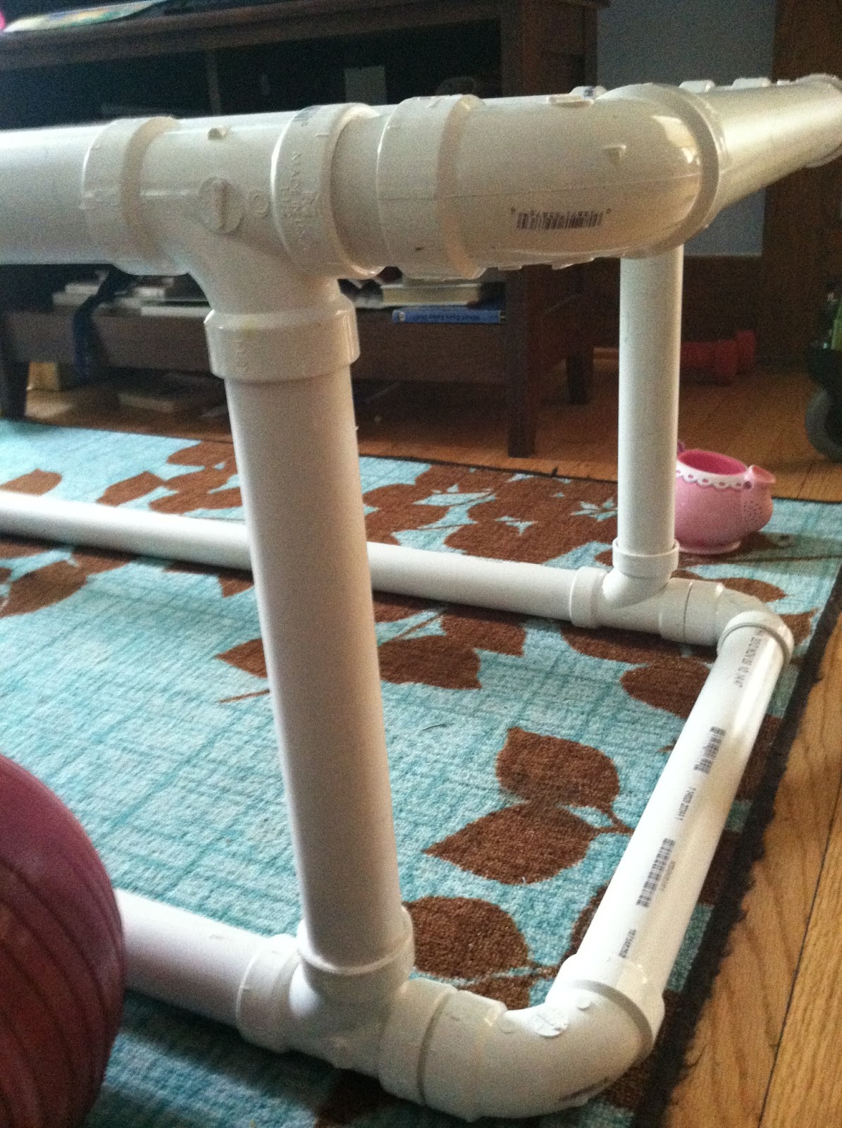 Rachel's Journey with Spina Bifida: Parallel Bars