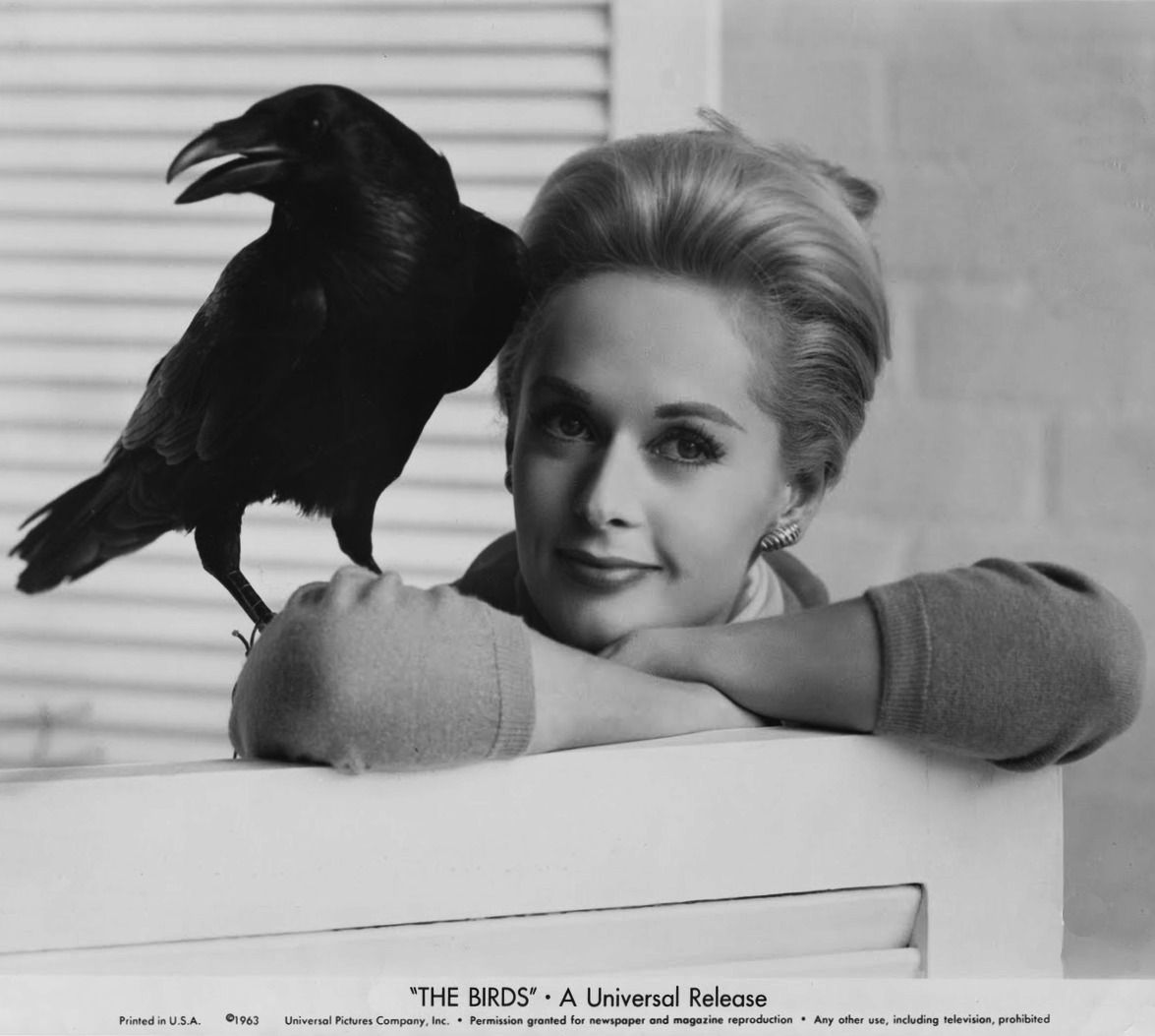 20 amazing publicity photographs tippi hedren 1963 20 amazing publicity photographs tippi hedren 1963