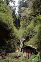 Las cascadas en los bosques de rododendros son numerosas en el trekking a Ghorepani. Trekking_21_dias_en_Nepal_Fotografias