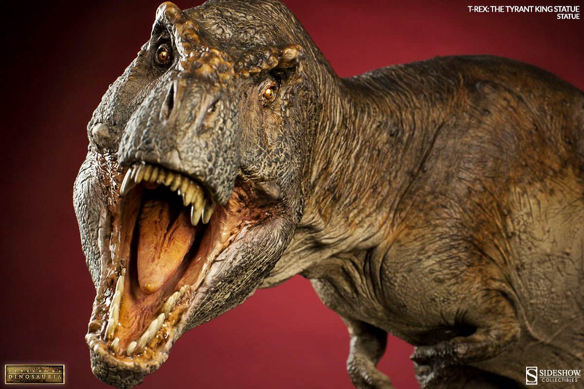 newly discovered dinosaur reveals how t rex became king