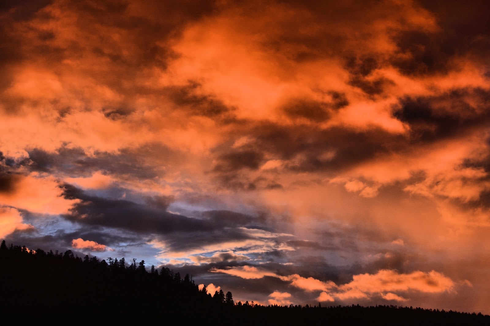 Creative Journey Week 35 2016 in Photographs