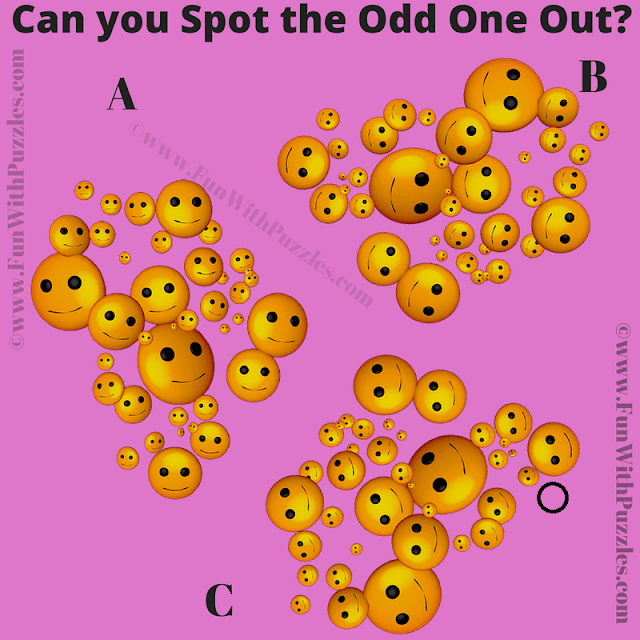 Odd One Out: Observation Visual Brain Teaser - Answer