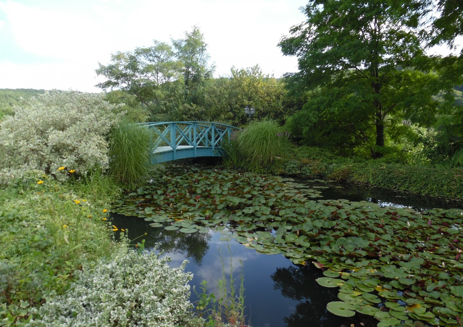 Le petit jardin de Chloé Les jardins d'eau de Carsac  Unique en Périgord