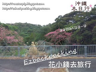 八重岳櫻花