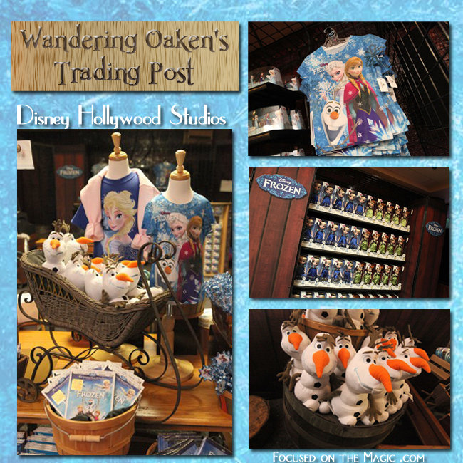 shopping for Frozen merchandise Disney Hollywood Studios 