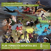Plan de Formación 2013